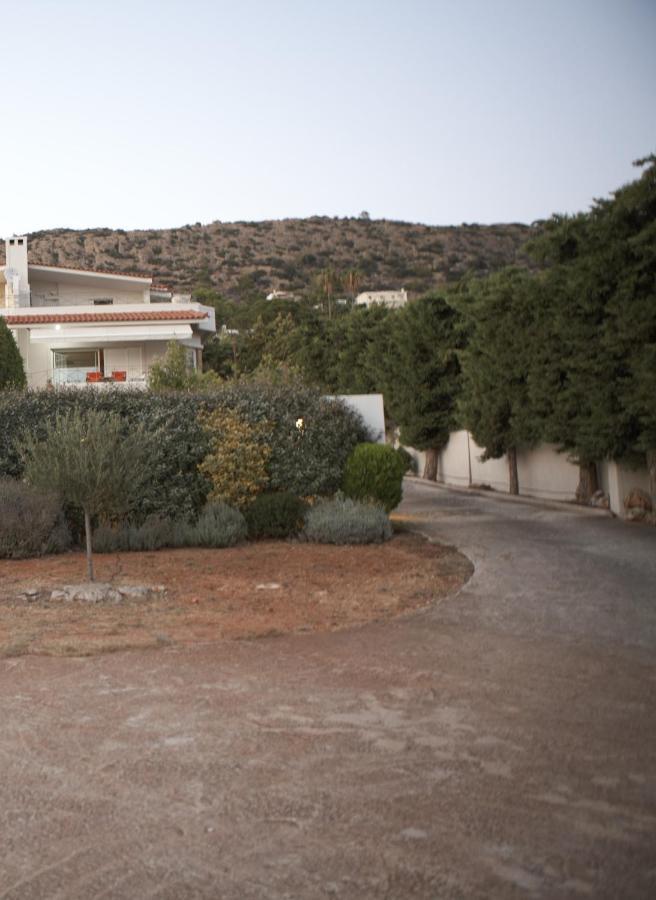 Villa Deep Blue Agia Marina  Bagian luar foto